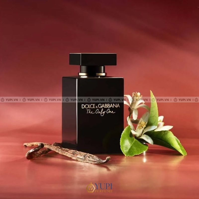 dolce gabbana the only one intense edp for women tester