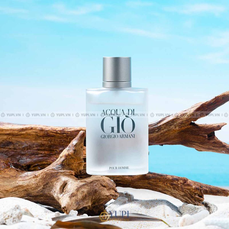 Giorgio Armani Acqua Di Gio Pour Homme