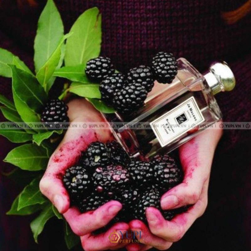 jo malone london blackberry and bay cologne