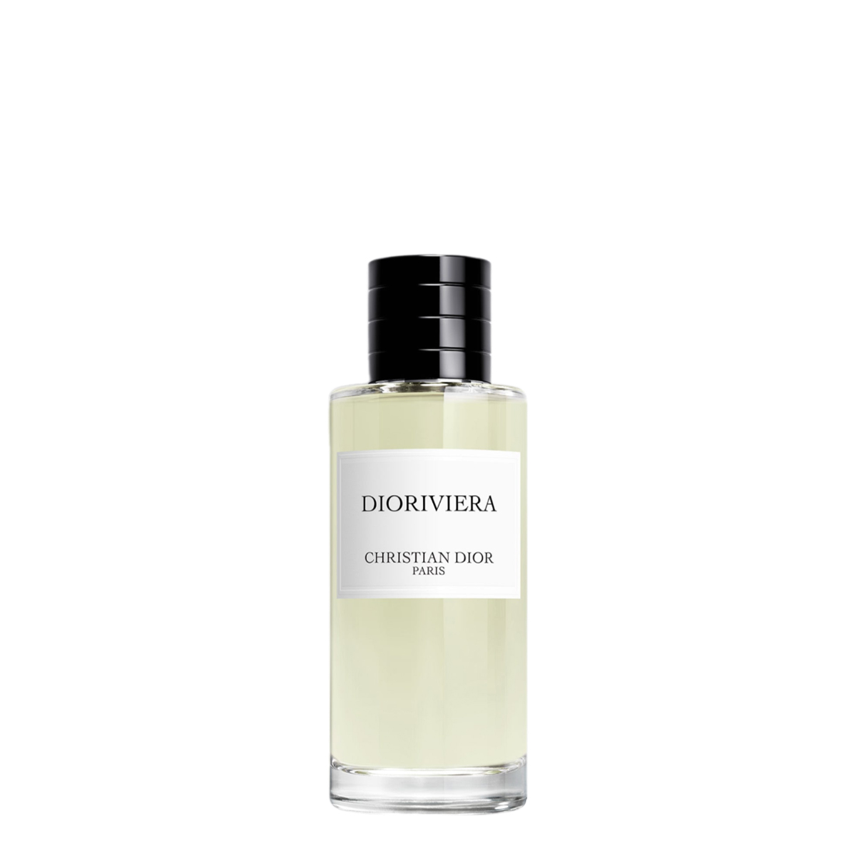 christian dior dioriviera mini