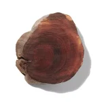 Gỗ Hổ Phách (Amber Wood)