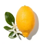 Cam Bergamot (Bergamot)