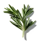 Hương Thảo (Rosemary)