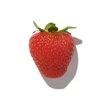 Dâu Tây (Strawberry)