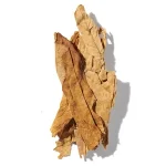 Hương Thuốc Lá (Tobacco)
